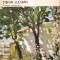 Jacques Lassaigne - Stefan Luchian
