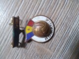 Insigna Sport RPR Pronosport
