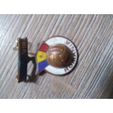 Insigna Sport RPR Pronosport