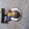 Insigna Sport RPR Pronosport