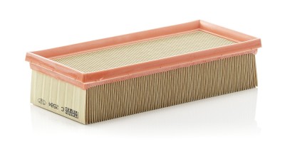 MANN-FILTER C 2584 Filtru aer foto
