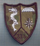 AX 1220 EMBLEMA AVIATIE-PARASUTISTI-ESCADRILA313 ?-BAZA313 ?-PENTRU COLECTIONARI