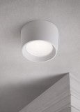 Plafonieră Livia 10W 3000K-6500K IP55, alb, Fumagalli