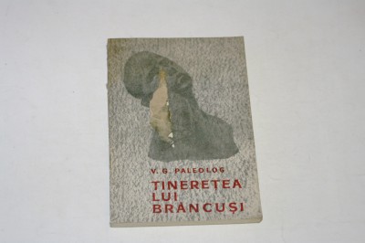 Tineretea lui Brancusi - V. G. Paleolog foto