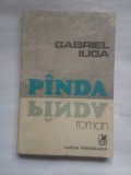 (C403) GABRIEL IUGA - PANDA