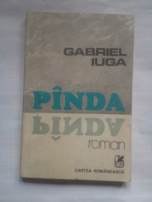 (C403) GABRIEL IUGA - PANDA foto