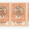 |Romania, Emisiunea Oradea, LP 12b/1919, Inundatia, 2 filler, straif, MNH