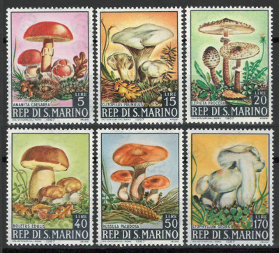 San Marino 1967 Mi 891/96 MNH - Ciuperci foto