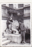 Bnk foto - Sinaia Castelul Pels - statuia leu - anii `70, Alb-Negru, Romania de la 1950, Cladiri