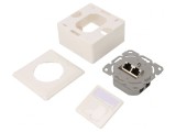 Soclu RJ45 Cat 6 Keystone Albă Două Porturi Montaj Perete, Logilink