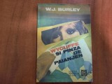 Wycliffe si panza de paianjen de W.J.Burley