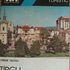 Târgu Mureș. Mic îndreptar turistic - Onisie Hossu