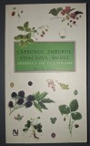 Dorel Hoza&nbsp;-&nbsp;Capsunul, zmeurul, coacazul, murul (Tehnici de cultivare)