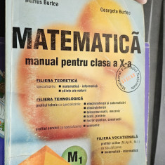 MATEMATICA M1 CLASA A X A FILIERA TEORETICA TEHNOLOGICA VOCATIONALA BURTEA