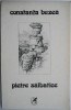 Pietre salbatice - Constanta Buzea - Roman Beletristica