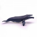 Figurina - Marine Life - Humpback Whale | Papo