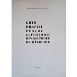 GHID PRACTIC PENTRU LUCRATORII DIN SECTORUL DE GAZDUIRE-ION CROITORU, ION VINTILA-236759