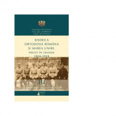 Biserica Ortodoxa Romana si Marea Unire. Preoti in transee. 1916-1919. Volumul 3. Activitatea preotilor militari in spitale militare, ambulante, trenu