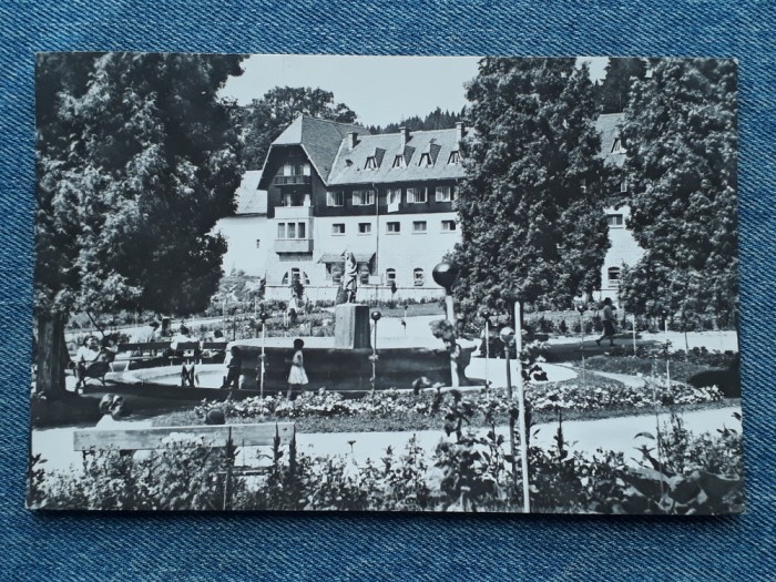 292 - Borsec -Vedere din parc / Borszek / carte postala circulata RPR