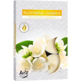 Set 6 pastile lumanari parfumate bispol - blooming jasmine, Stonemania Bijou