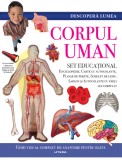 Descoperă lumea. Corpul uman