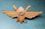 Insigna pilot militar Romania 1968 neclasificat RSR