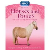 All about horses and ponies