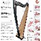 Folk Harp Wall Chart