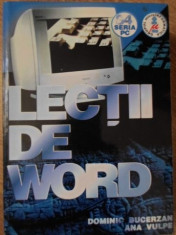 LECTII DE WORD - DOMINIC BUCERZAN, ANA VULPE foto