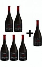 5 Pack x Vin ,,Negru de Tomai Regina? (cupaj) ? 2009 + 1 Sticla GRATIS foto