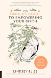 Doula Bliss: The Complete Guide to an Empowering and Positive Childbirth Experience
