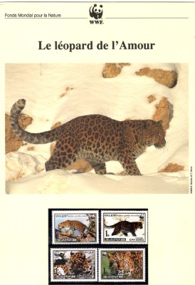 Corea de Nord 1998 - Leopardul Amur, Set WWF, 6 poze, MNH, (vezi descrierea) foto