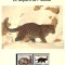 Corea de Nord 1998 - Leopardul Amur, Set WWF, 6 poze, MNH, (vezi descrierea)