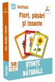 Flori păsări și insecte