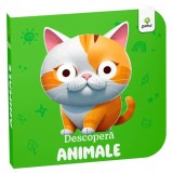 Descopera Animale, GAMA, ilustratii color, 1-3 ani