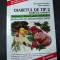 DIABETUL DE TIP 2 DIABETUL ZAHARAT-ROSEMARIE FRANKE HANS HAUNER