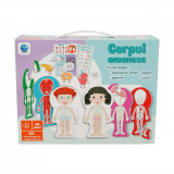 Puzzle educativ, Corpul omenesc, 60 piese