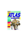 Mic atlas de mamifere - Paperback brosat - Aurora Mihail - All