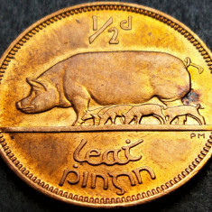 Moneda 1/2 PENNY - IRLANDA, anul 1966 *cod 1409 B = UNC LUCIU DE BATERE