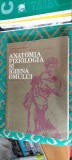 ANATOMIA FIZIOLOGIA SI IGIENA OMULUI CLASA A VIII A STARE FOARTE BUNA