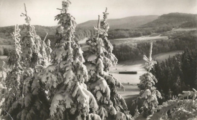 Ungaria, carte postala, felicitare de Craciun, circulata in Romania, 1969 foto