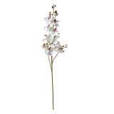 Cumpara ieftin Orhidee artificiala alba 15x8x116 cm