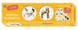 Animale domestice - Loto, DPH