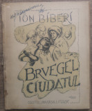 Bruegel Ciudatul - Ion Biberi/ cu ilustratii