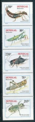 SENEGAL 1997 FAUNA INSECTE foto