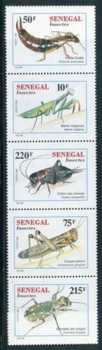 SENEGAL 1997 FAUNA INSECTE