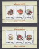 ROMANIA 2003 LP 1616 a CIUPERCI TRIPTICURI MNH