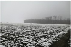 Vand Terenuri Extravilane valorificate in bloc in suprafata totala de 101.657 mp