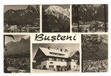 CPIB 21659 - CARTE POSTALA - BUSTENI. MOZAIC, Circulata, Fotografie