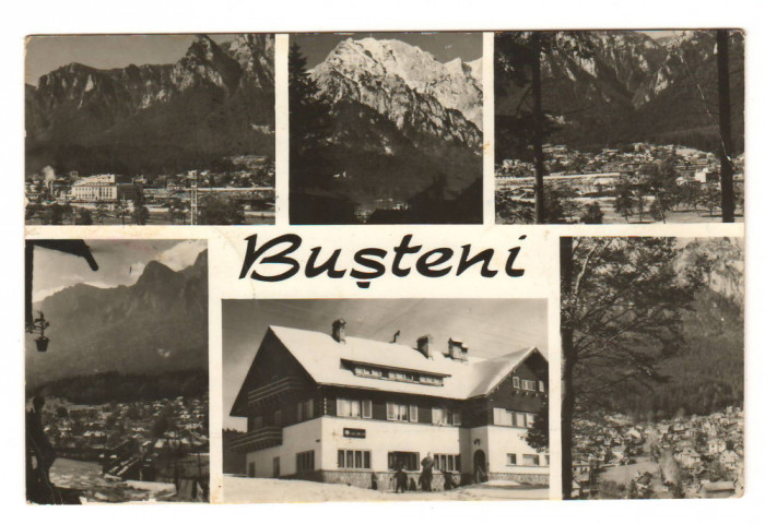 CPIB 21659 - CARTE POSTALA - BUSTENI. MOZAIC